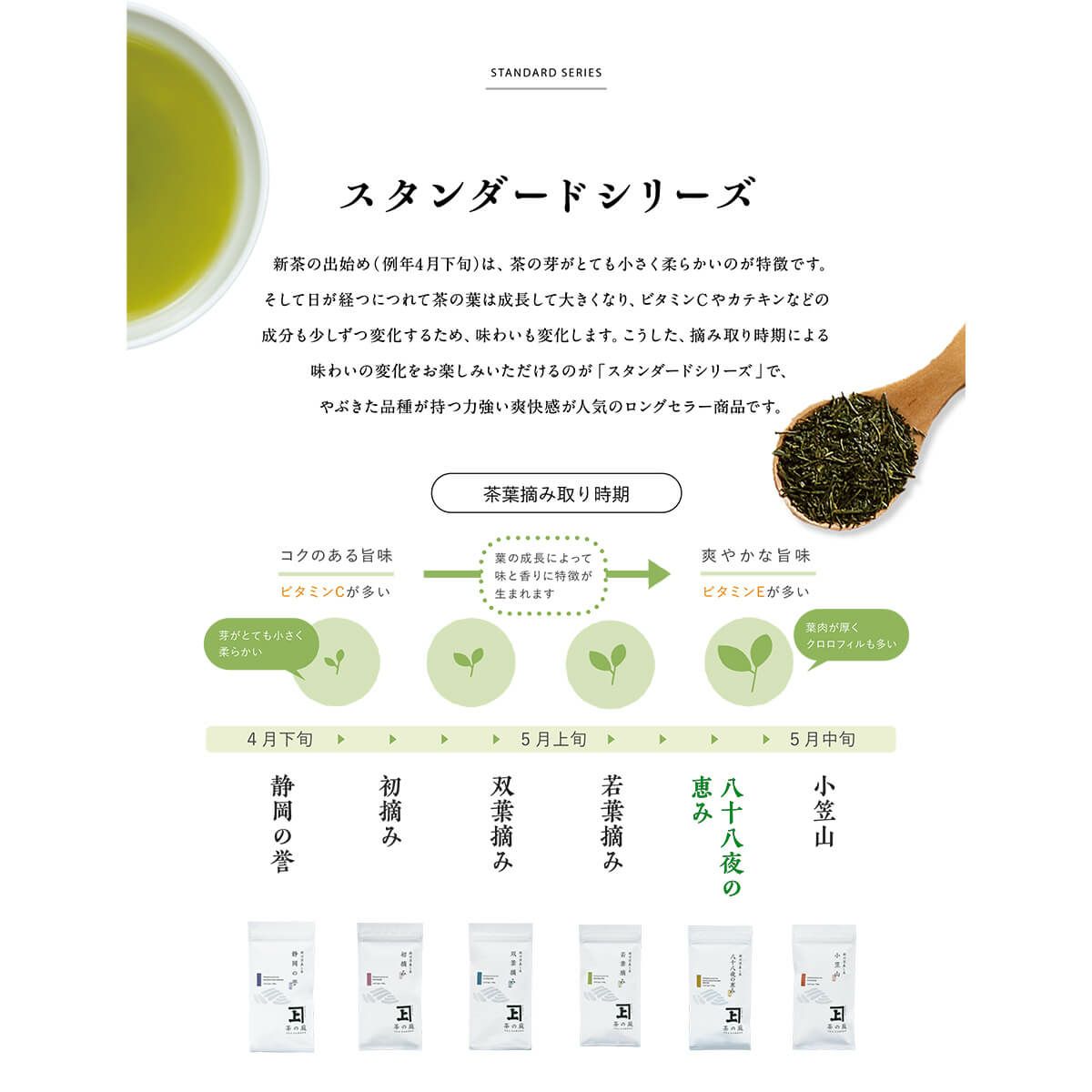 かねじょう 茶の庭 静岡・掛川茶 八十八夜の恵み