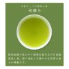かねじょう 茶の庭 静岡・掛川茶 初摘み