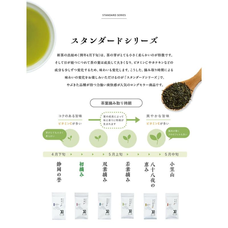 かねじょう 茶の庭 静岡・掛川茶 初摘み