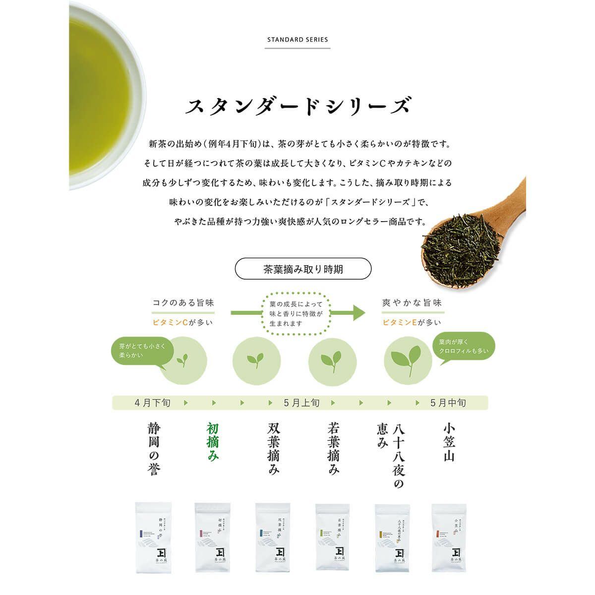 かねじょう 茶の庭 静岡・掛川茶 初摘み