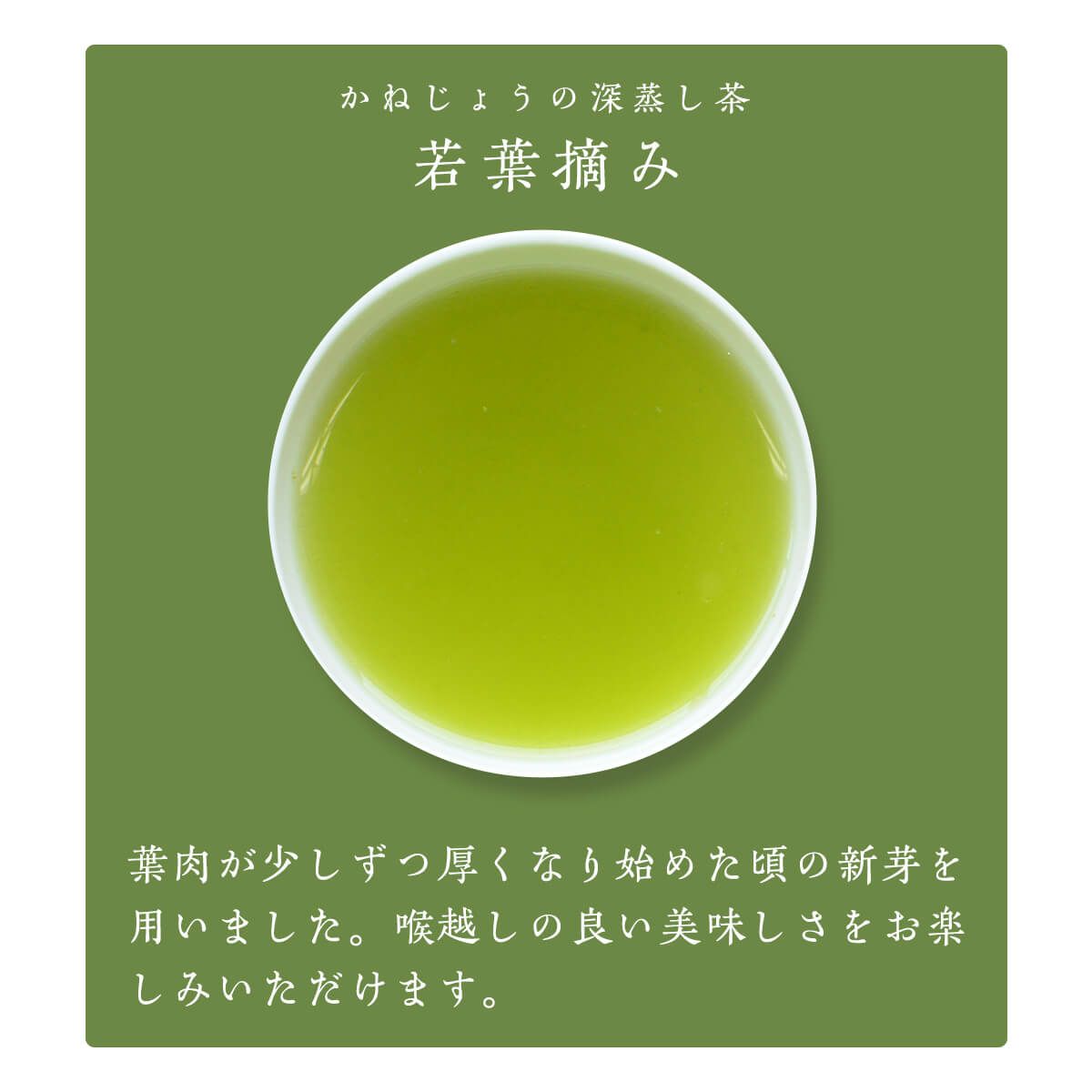 かねじょう 茶の庭 静岡・掛川茶 若葉摘み