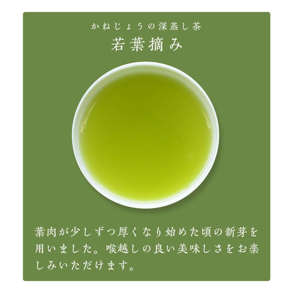 かねじょう 茶の庭 静岡・掛川茶 若葉摘み