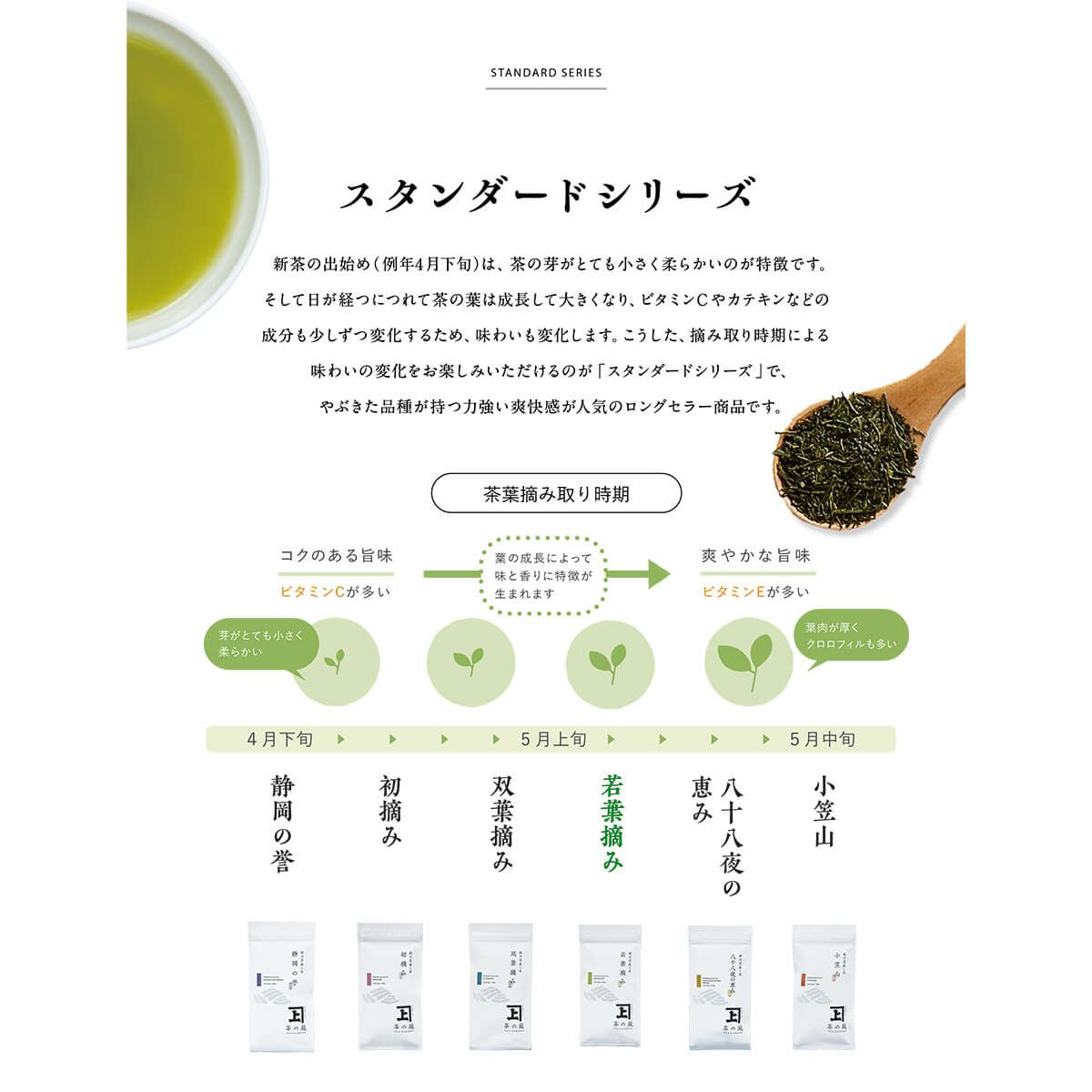 かねじょう 茶の庭 静岡・掛川茶 若葉摘み