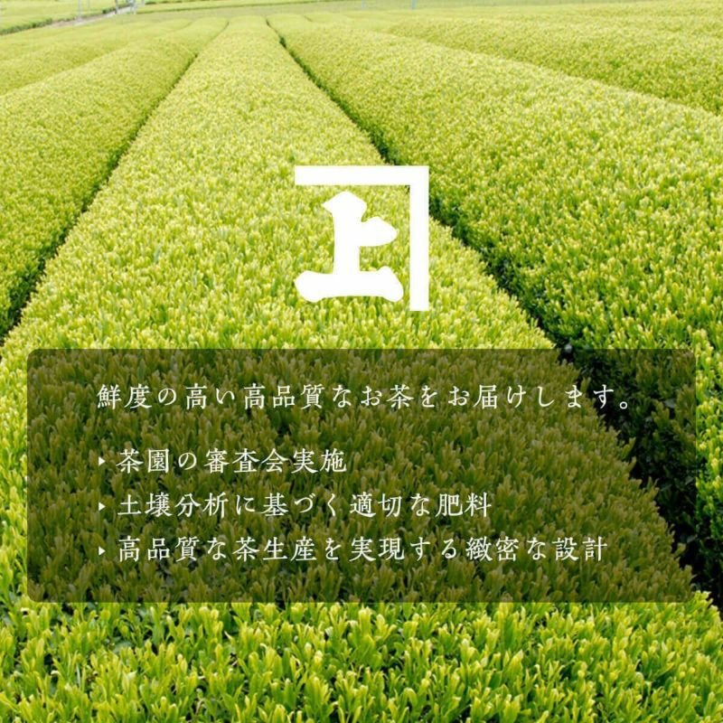 かねじょう 茶の庭 静岡・掛川茶 茎茶（棒茶）