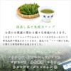 茶の庭 かねじょう 産地のほうじ茶ティーバッグ