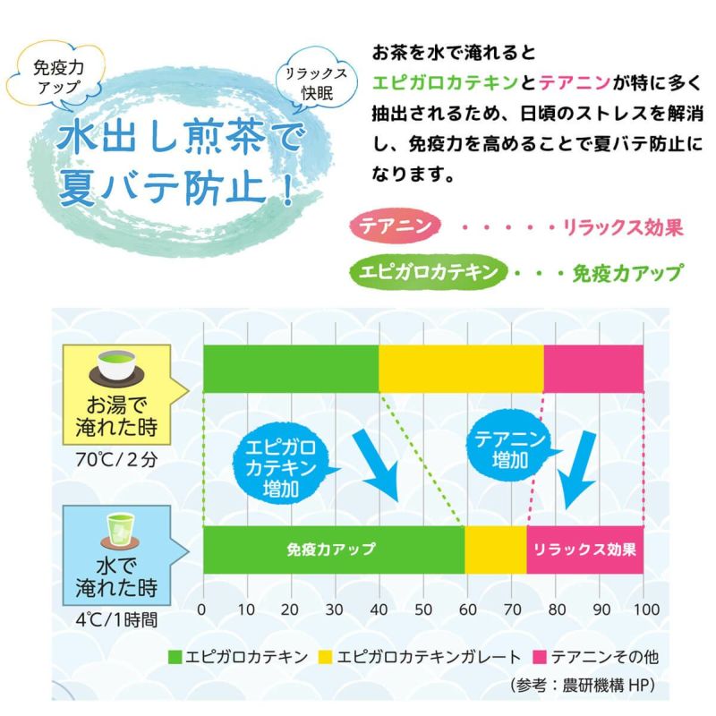 かねじょう 茶の庭 業務用水出し煎茶ティーバッグ (ティーバッグ/ポット用/ひもなし)