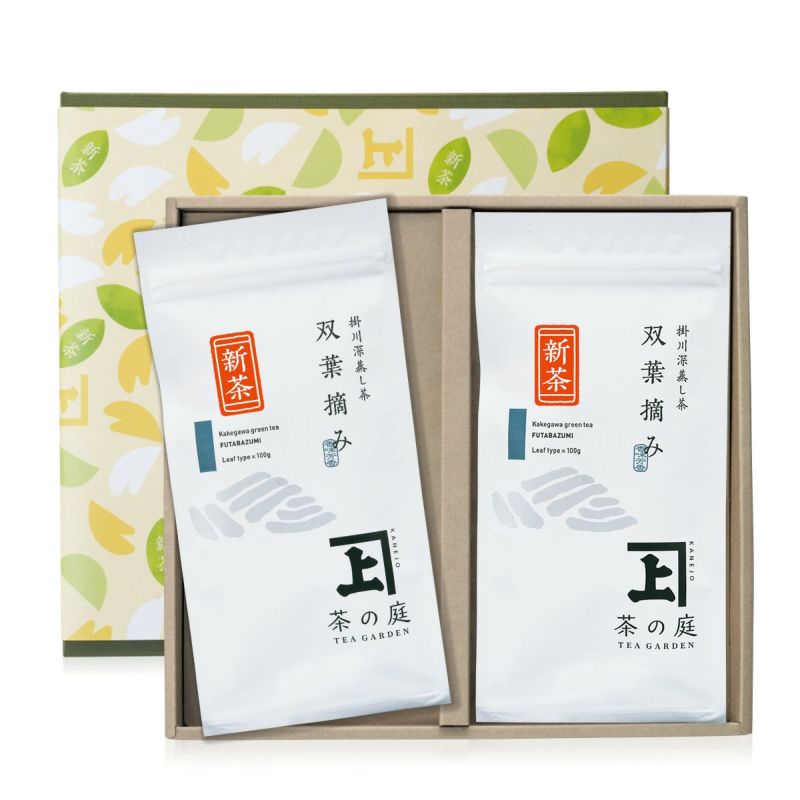 【ご贈答用・化粧箱入り】 静岡・掛川深蒸し茶 100g袋 2本