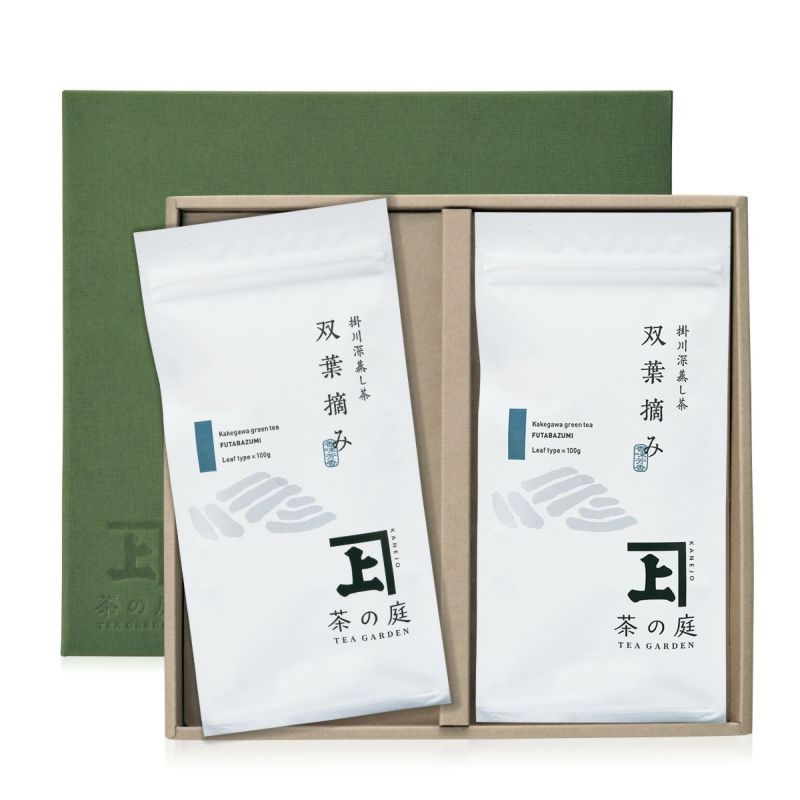 【ご贈答用・化粧箱入り】 静岡・掛川深蒸し茶 100g袋 2本