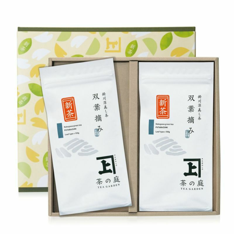 【ご贈答用・化粧箱入り】 静岡・掛川深蒸し茶 100g袋 2本