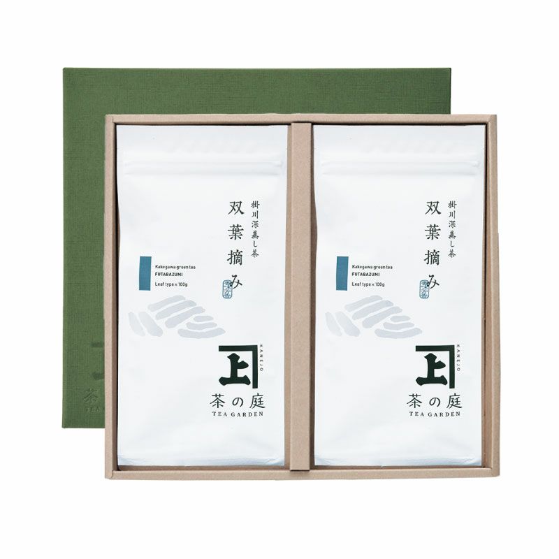 【ご贈答用・化粧箱入り】 静岡・掛川深蒸し茶 100g袋 2本