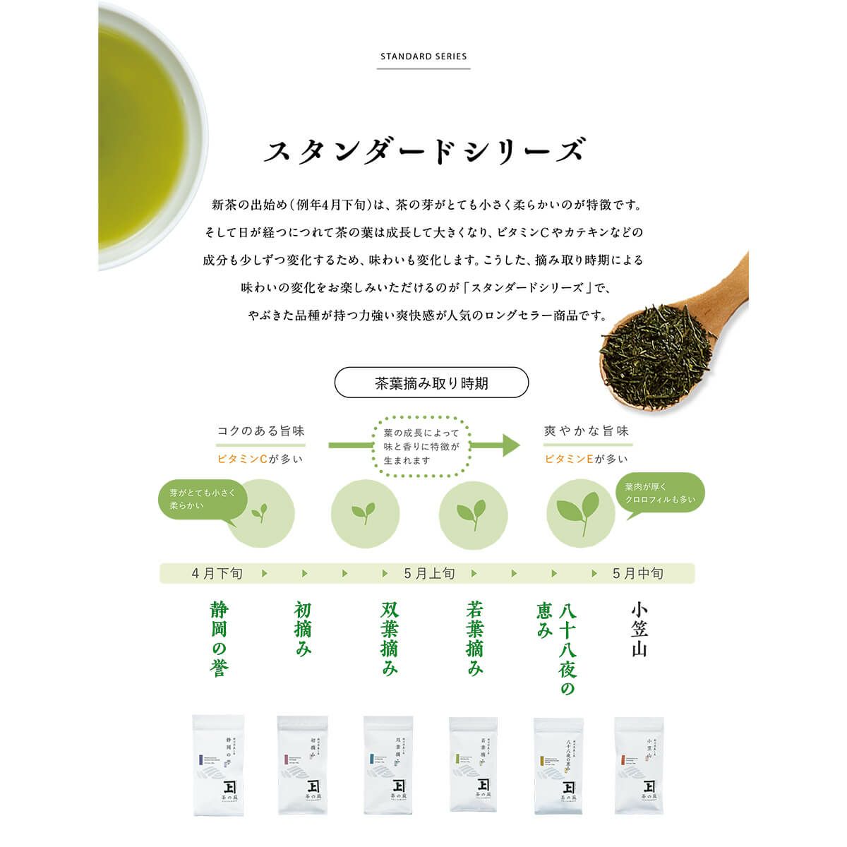 かねじょう 茶の庭 【ご贈答用・化粧箱入り】 静岡・掛川深蒸し茶 100g袋 3本