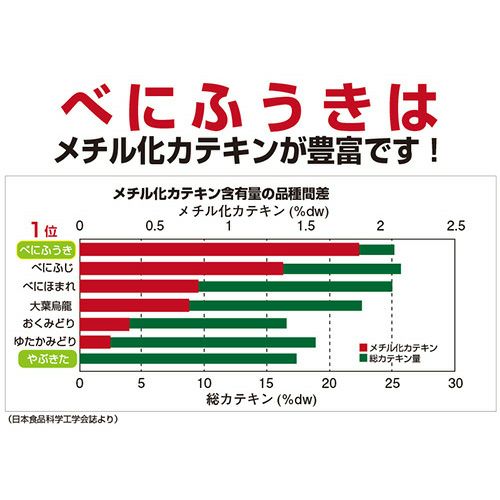 かねじょう 茶の庭 掛川紅茶「しあわせかほり」 ティーバッグ1回分