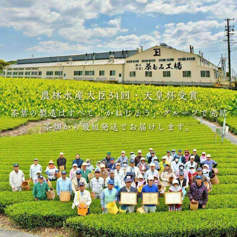 かねじょう 茶の庭 掛川紅茶「しあわせかほり」 ティーバッグ1回分