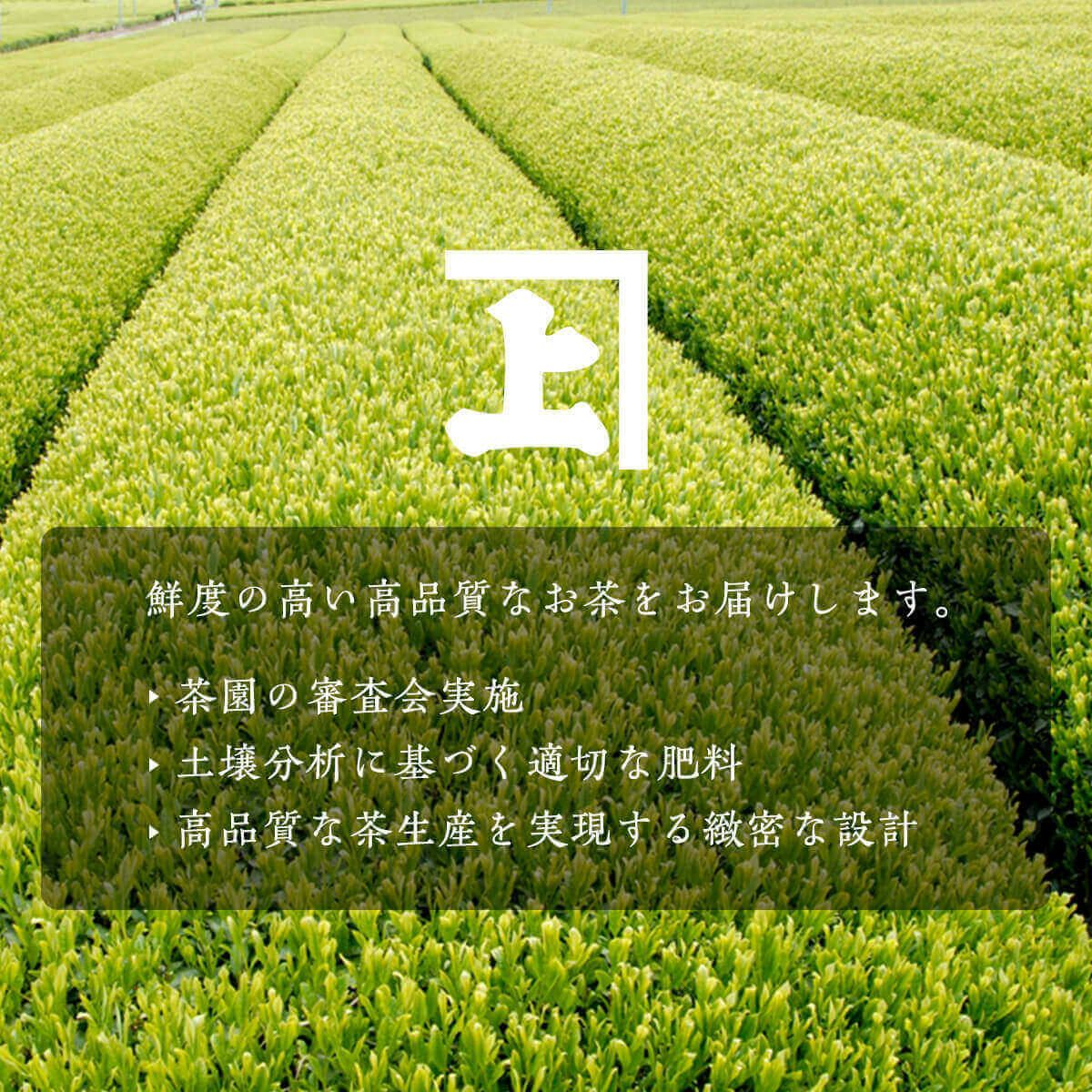 かねじょう 茶の庭 掛川紅茶 しかわせかほり リーフ 80g入り