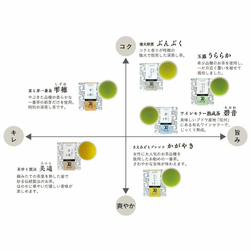 かねじょう 茶の庭 一煎茶パック ワインセラー 碧音 ティーバッグ