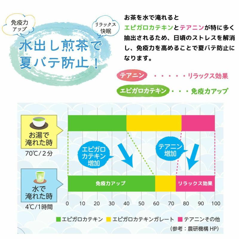 かねじょう 茶の庭 水出し煎茶「こかげ」 3袋セット ご贈答化粧箱入り