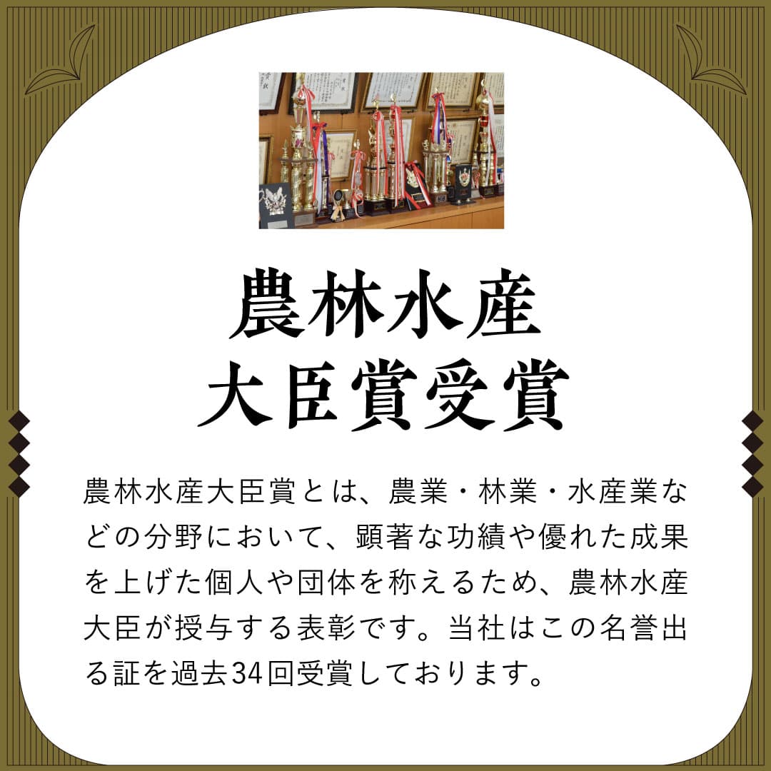 かねじょう 茶の庭 水出し煎茶「こかげ」 3袋セット ご贈答化粧箱入り