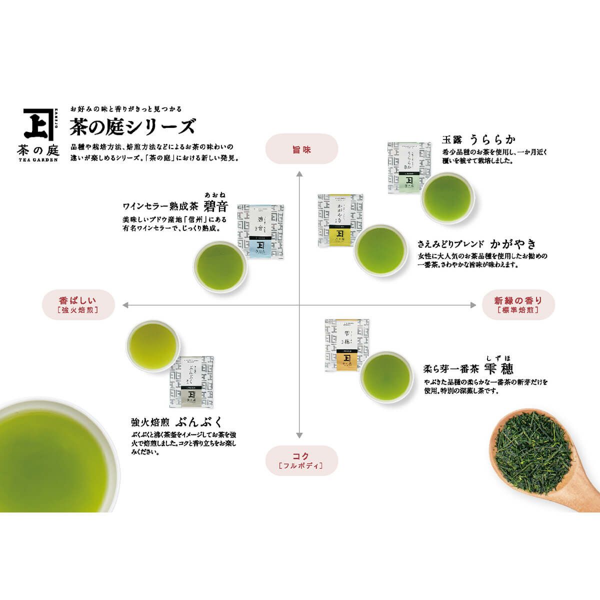茶の庭 かねじょう 一煎茶ティーバッグ 深蒸し茶5種 飲み比べセット