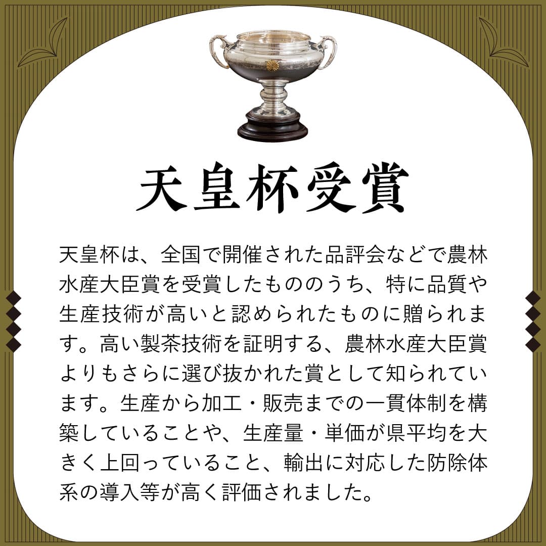 かねじょう 茶の庭 水出し煎茶「こかげ」 ティーバッグ 1袋20個入り 8袋セット