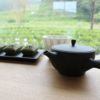 かねじょう・茶の庭 オリジナル急須 深蒸し茶を淹れるのに最適
