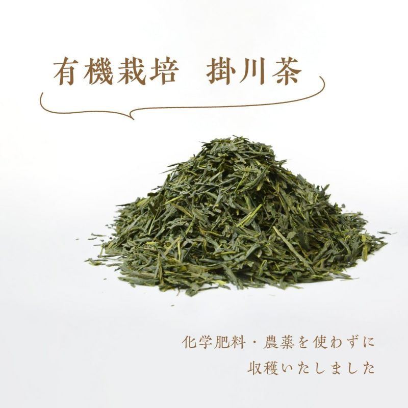 茶の庭 かねじょう 地の和 オーガニック 掛川茶