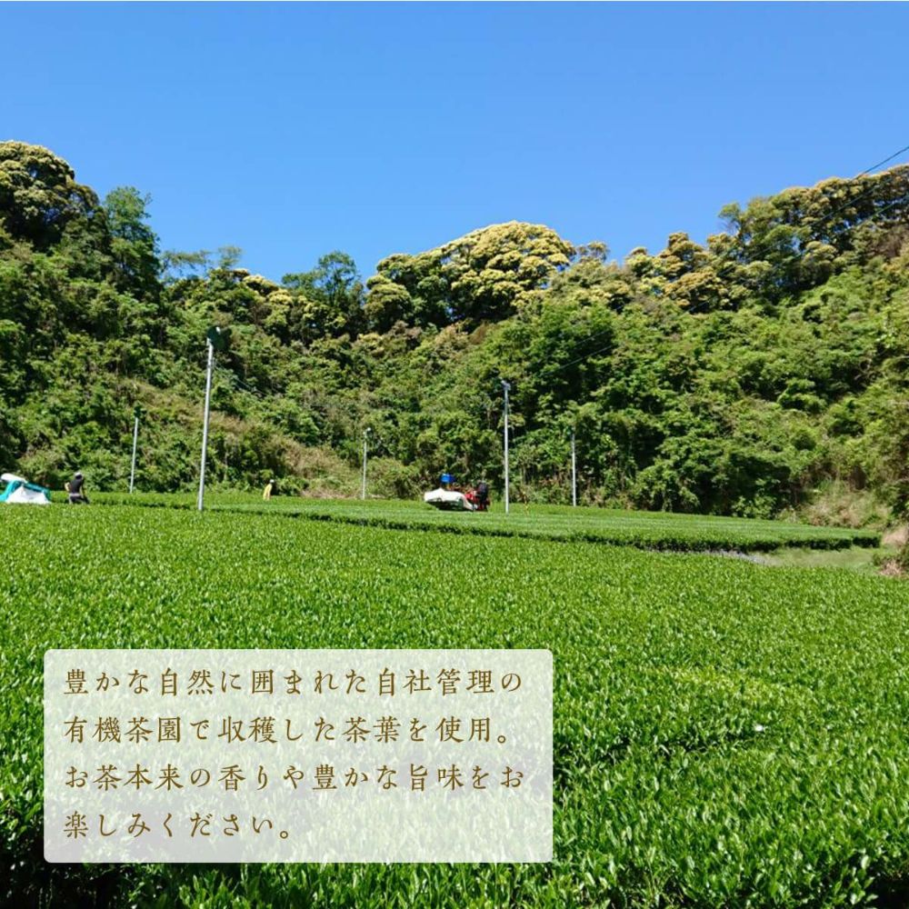 茶の庭 かねじょう 地の和 オーガニック 掛川茶