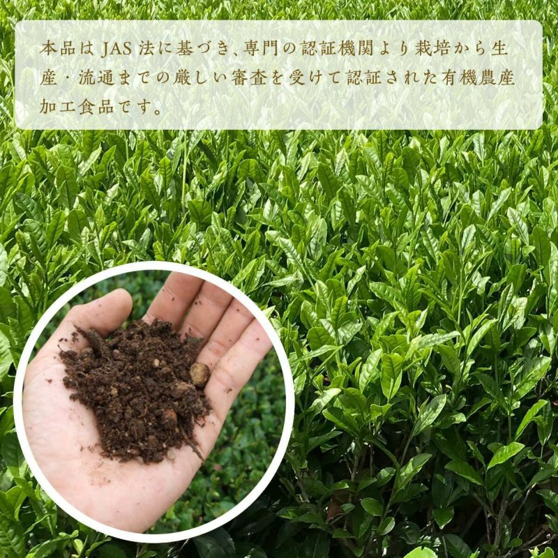 地の和 オーガニック掛川茶 100g入り