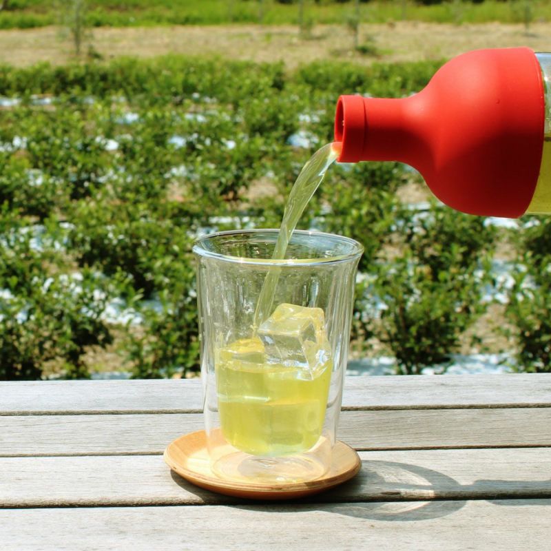 【静岡・掛川茶】 夏の深蒸し茶1袋 農家の深蒸し茶2袋セット [5405]