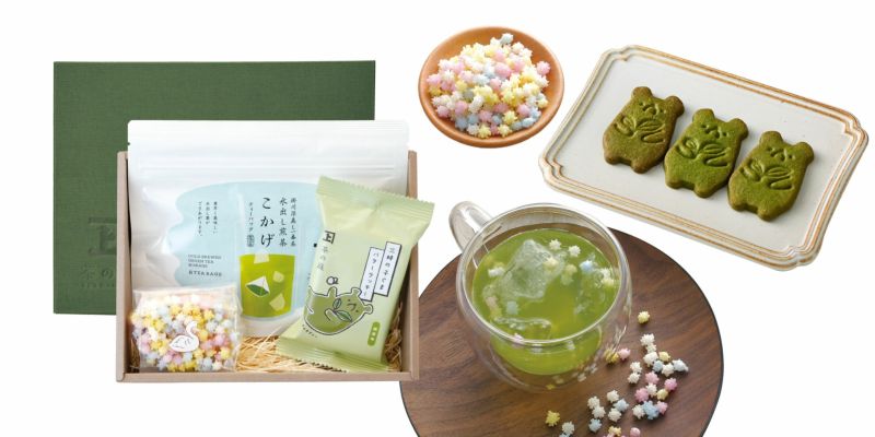 【静岡・掛川深蒸し茶】お菓子と水出し煎茶こかげティーバッグ詰合せ 化粧箱入り