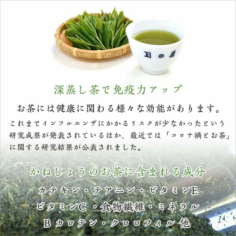 水出し煎茶こかげティーバッグ2袋詰合せ 化粧箱入り