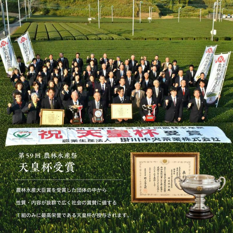 水出し煎茶こかげティーバッグ2袋詰合せ 化粧箱入り